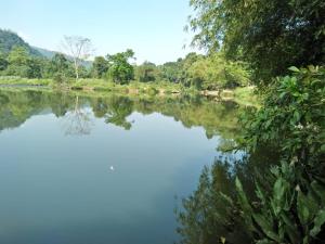 vistas a un río con árboles en el fondo en Comfortable Eco Stays in Kitulgala with sightseeing & Adventure activities - Back Kate Resort, en Kitulgala