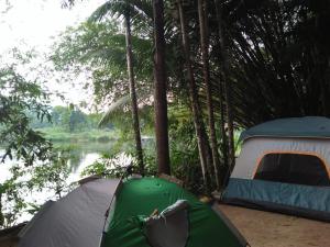 two tents in the woods next to a river at Comfortable Eco Stays in Kitulgala with sightseeing & Adventure activities - Back Kate Resort in Kitulgala