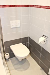 a bathroom with a toilet and two rolls of toilet paper at Der Hoferbauer in Bad Kleinkirchheim