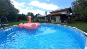 a pink inflatable toy in a swimming pool at Къща за гости Ореха in Apriltsi