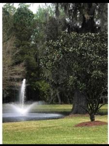 a fountain in the middle of a park at Lux stay book 7 nights minimum and save in Jacksonville