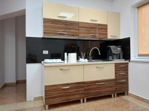 a kitchen with wooden cabinets and a sink at VILA LA FORTALEZA in Haţeg