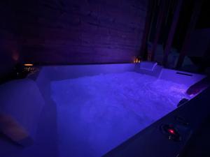 ein dunkles Zimmer mit einem Pool mit violetten Lichtern in der Unterkunft Zen Room in LʼIsle-sur-le-Doubs