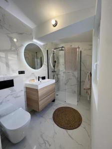 W łazience znajduje się toaleta, umywalka i prysznic. w obiekcie Loft d'artiste coeur de Vendôme Caroline Paul Officiel w mieście Vendôme