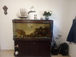 een groot aquarium in een kast met een vis bij דירת שי in Rishon LeẔiyyon