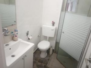 里雄莱锡安דירת שי的带马桶和水槽的白色浴室