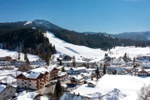 a town covered in snow with a mountain in the background at Dachsteinresort in Russbach am Pass Gschütt