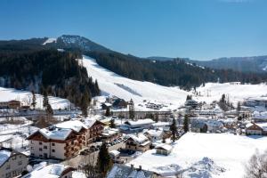 ルスバッハ・アム・パス・クシュットにあるDachsteinresortの雪山の町