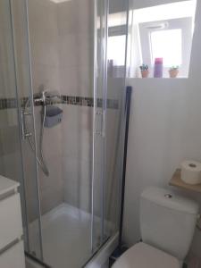 La salle de bains est pourvue d'une douche et de toilettes blanches. dans l'établissement Studio- Terrasse -Place de parking privé, à Marseille