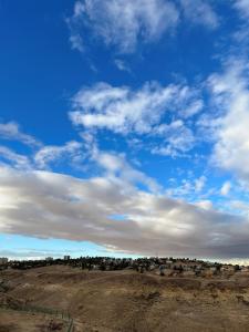 un champ avec des arbres et un ciel bleu avec des nuages dans l'établissement לב במדבר - הצימר של רחלי, à Arad