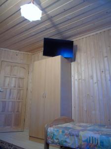 Bańska NiżnaにあるBrzoskwiniowy Domの壁の上にテレビが備わる部屋