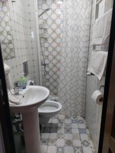 een kleine badkamer met een wastafel en een toilet bij Eco Oasis in Surami