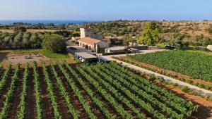 サルヴェにあるMasseria Fano Relais & Wineの作物畑の空中風景