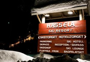 Gallery image of Hassela Ski Resort in Hassela
