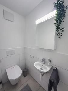a white bathroom with a toilet and a sink at Spacious apartment next to Rhine in Basel