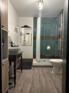 a bathroom with a shower and a toilet and a sink at Chez Stéphanie et Sylvain in Le Mesnil-Villeman +22 photos