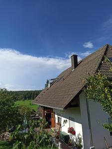 a house with a roof with a view of a field at Ferienwohnung Brentenholz in Sankt Georgen im Schwarzwald