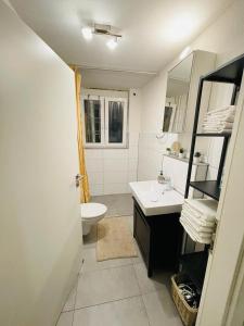 a bathroom with a sink and a toilet and a mirror at Plaza 112A RioFlats in Stuttgart