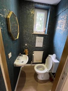 ein Badezimmer mit Toilette und Waschbecken in der Unterkunft Charmante maison familiale in Kraainem