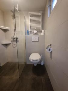 a small bathroom with a toilet and a shower at Ammophila 2 in Egmond aan Zee