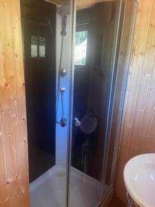 a shower with a glass door in a bathroom at La barrique in Faymont