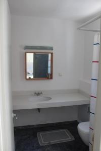 a bathroom with a sink and a mirror and a toilet at Dimitra Studios in Aegiali