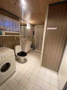 een badkamer met een wasmachine en een toilet bij Hus i Lofoten in Laupstad