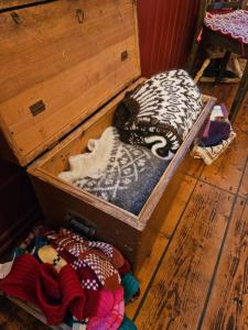 a wooden chest filled with lots of different types at Saudafell Guesthouse in Sauðafell