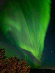 una imagen de la aurora boreal en el cielo en Saudafell Guesthouse en Sauðafell