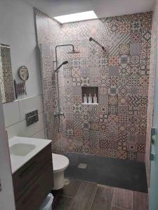 a bathroom with a shower and a toilet and a sink at Casa Paula in Las Playitas +25 photos