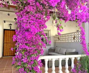 Vonkajšia záhrada v ubytovaní Casa de amigos Lomas Del Golf, Orihuela Costa