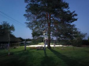 حديقة خارج Vila Sreten, Tenis i basket kuća