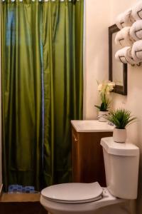 ナッソーにあるA Taste of Paradise - Vacation Rentals close to US Embassy & Restaurantsのバスルーム(緑色のシャワーカーテン、トイレ付) +32枚の写真