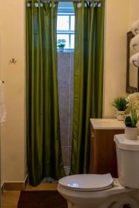 a bathroom with a green shower curtain and a toilet at A Taste of Paradise - Vacation Rentals close to US Embassy & Restaurants in Nassau