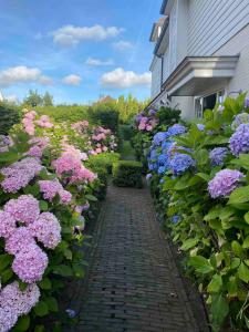 een tuin van roze en paarse bloemen naast een huis bij High end Villa in the hart of Knokke Zoute close to the beach and shoping area in Knokke-Heist