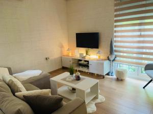 a living room with a couch and a tv at Vanja in Čukarica