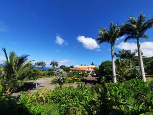 a view of a resort with palm trees at Ferme auberge le Ti'planteur in Saint-Philippe