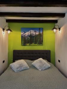 a bedroom with a bed with a green wall at Mountain apartment ''Michelle'' in Kakanj