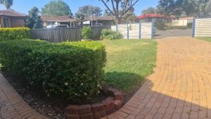 a hedge in a yard with a brick driveway at 3 Bed Room, Luxury Home in Schofields