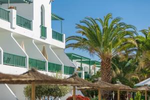 a palm tree in front of a building at Club del Carmen in Puerto del Carmen