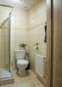 Koupelna v ubytování Pokoje Gościnne Izabela