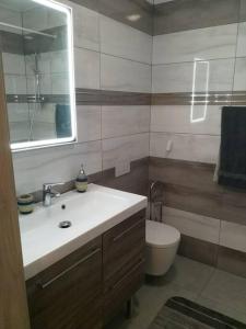 a bathroom with a sink and a toilet and a mirror at Hightower Apartment in Floreşti