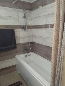 a bathroom with a bath tub with a shower at Hightower Apartment in Floreşti