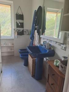 een badkamer met twee blauwe toiletten en een wastafel bij Appartamento Varazze in Varazze