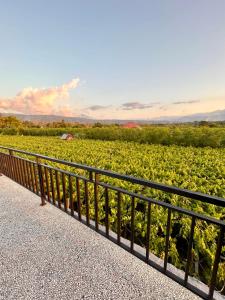 a fence in front of a field of vines at Villa Rumah Lebah Seririt in Banjar