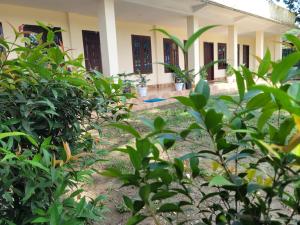 un jardín frente a una casa con plantas en The Western Lodge, en Narjon Basti