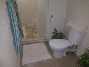 een badkamer met een wit toilet en een douche bij African Sky's the Limit - Budget, Quiet, Peaceful Self-Catering in Durban