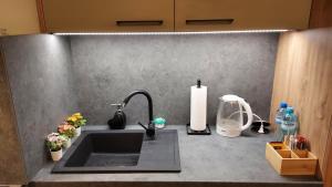 a kitchen counter top with a sink and a counter top at Apartament Kallisto in Bydgoszcz