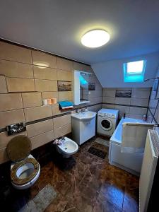 Dapur atau dapur kecil di Casa Andreuță