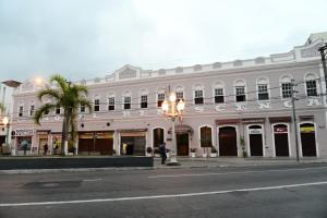 a white building with a palm tree in front of it at Grande Hotel Renascença in Juiz de Fora
